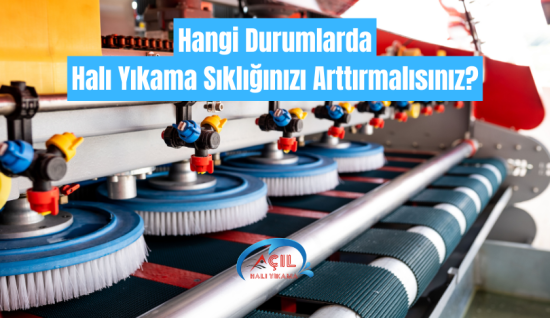 Hangi Durumlarda Halı Yıkama Sıklığınızı Arttırmalısınız?